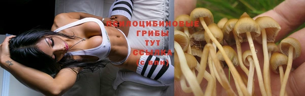 дистиллят марихуана Алзамай